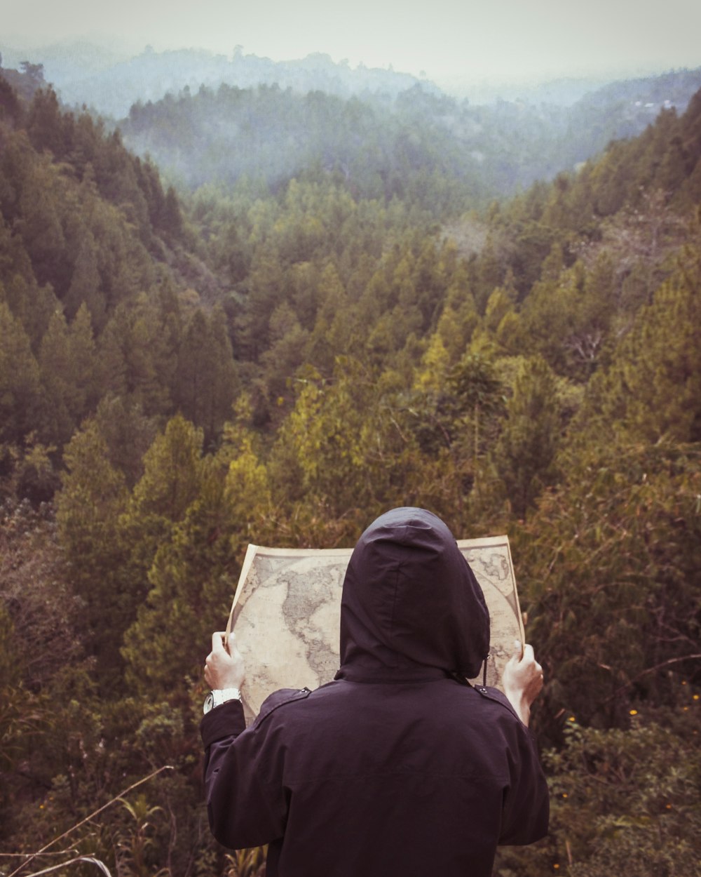 person facing forest reading map during daytime