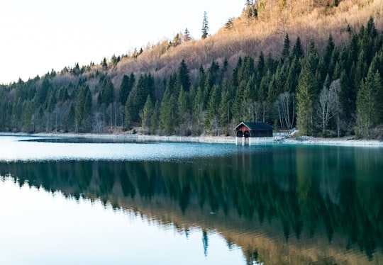 brown and blue house near body of water and trees during daytime in Walchensee Germany