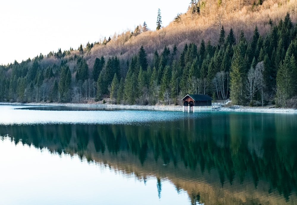 Braunes und blaues Haus in der Nähe von Gewässern und Bäumen während des Tages