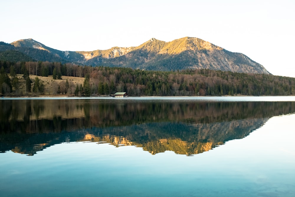 body of water reflecting green mountain at daytime