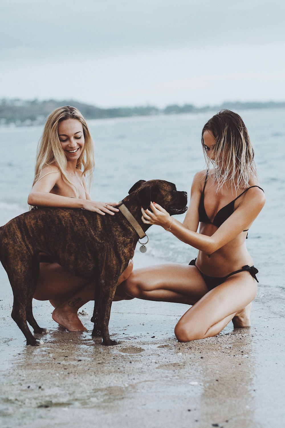 two women in bikini beside brown dog during daytime