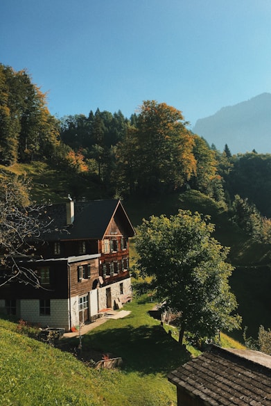 house near forest