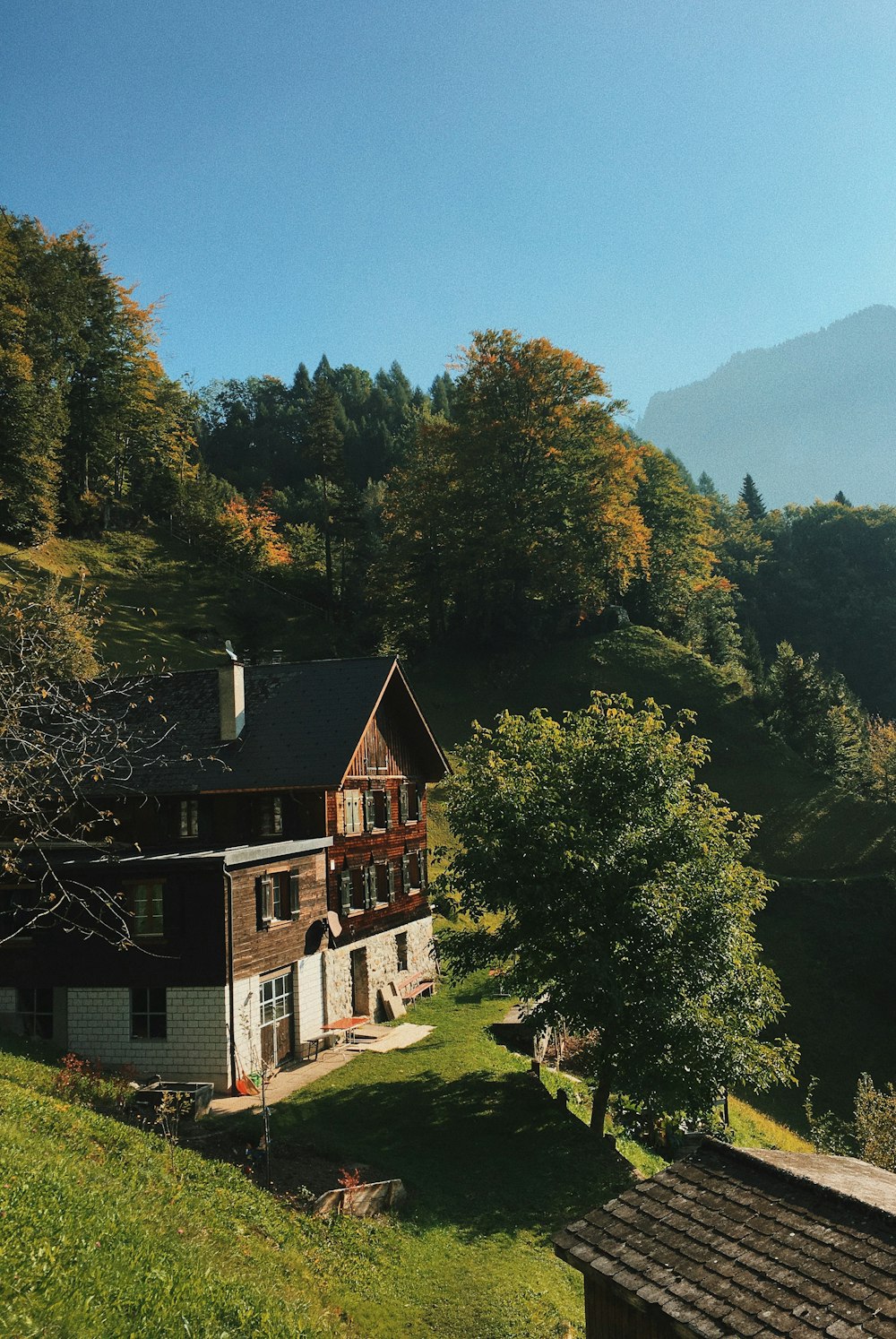 house near forest