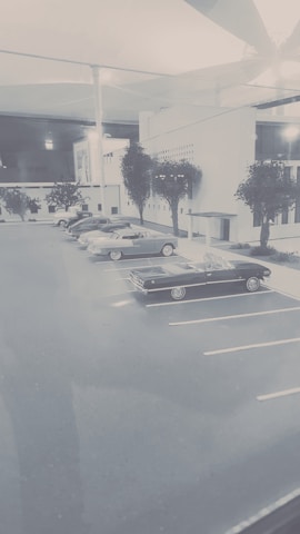 A parking lot with several vintage cars lined up beside a modern, minimalist building. Trees flank the building and the scene has a muted, retro appearance.