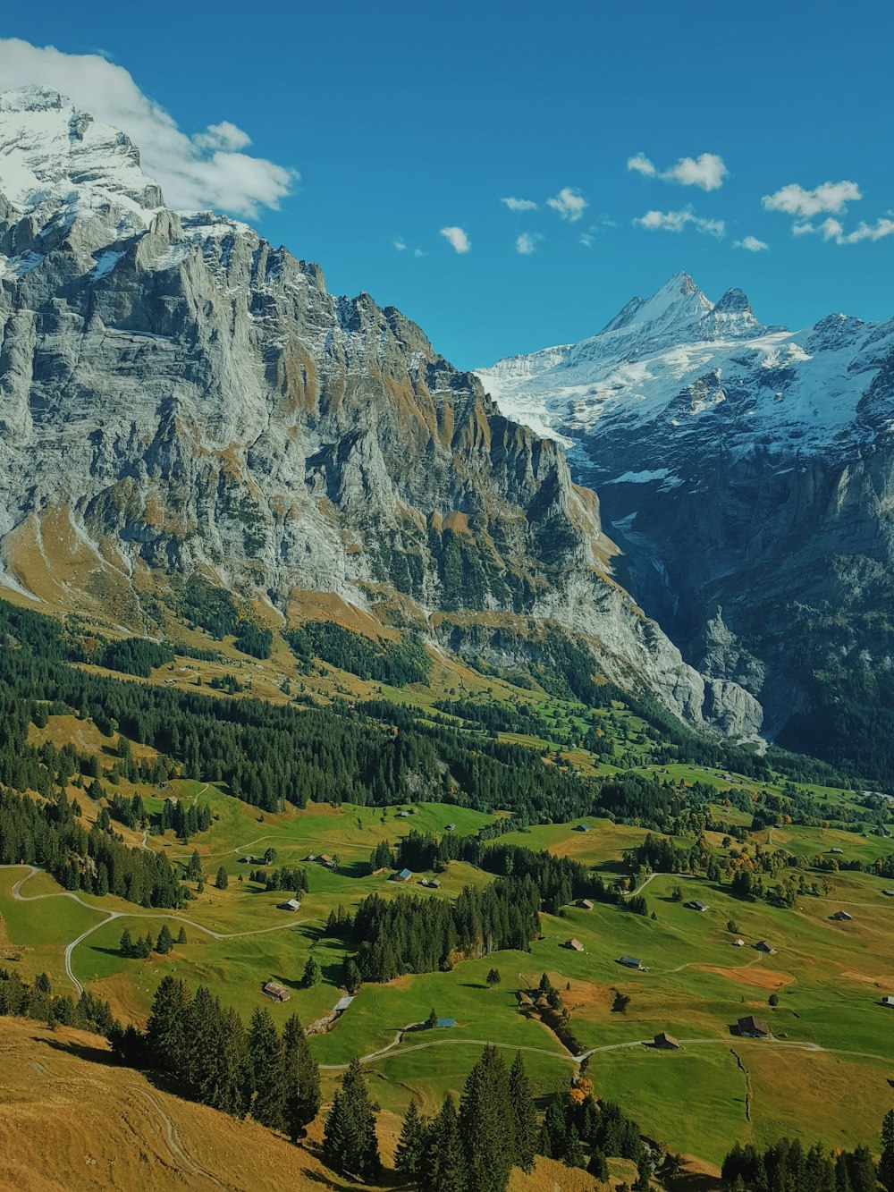 montanha coberta de neve perto de árvores