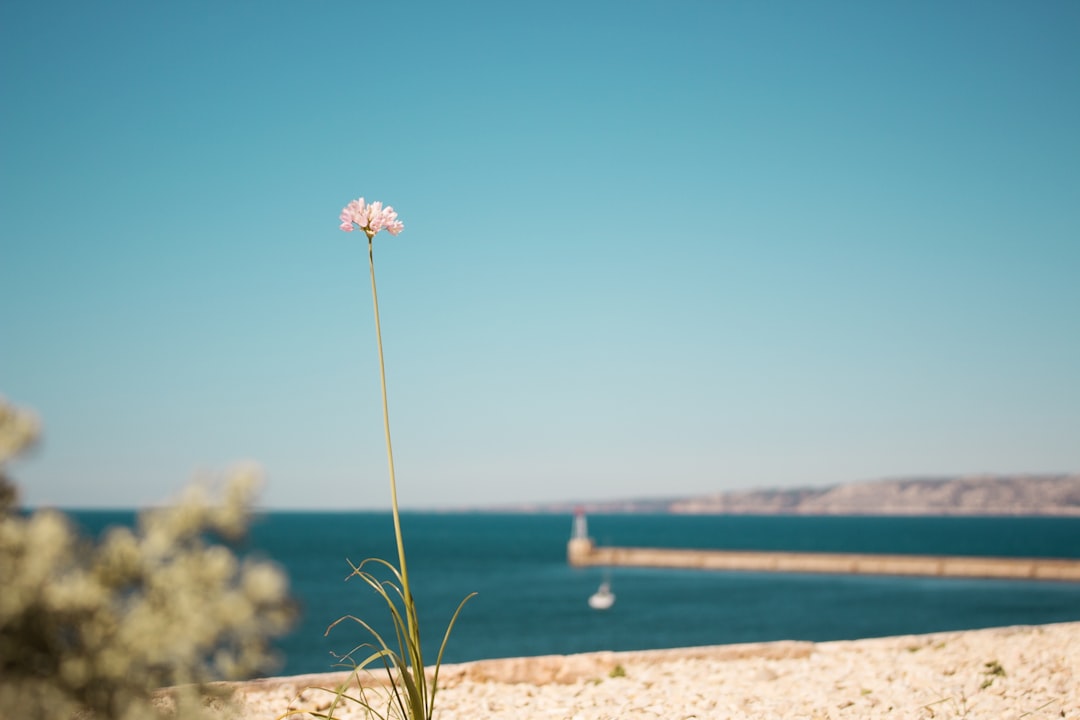 Beach photo spot Marseille Le Plan de Sainte-Baume