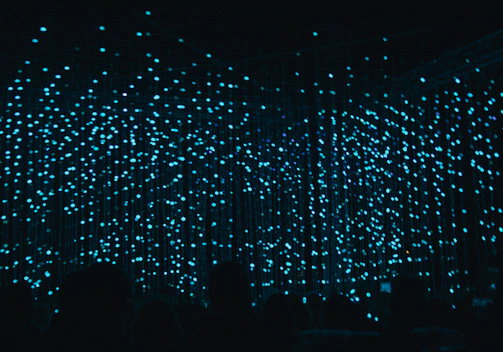A mesmerizing display of numerous small, bright, blue lights hanging in a grid-like formation against a dark background, creating an immersive and enchanting visual effect. The silhouettes of several people in the foreground indicate an audience observing the installation.