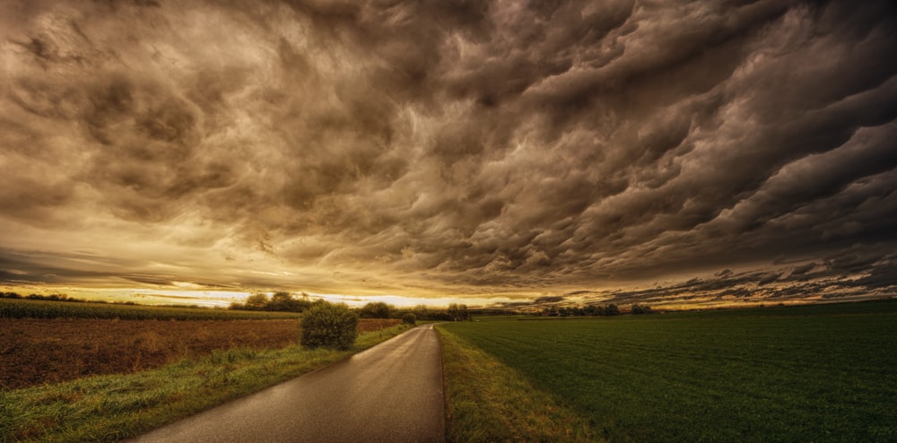 road in between green and brown fields