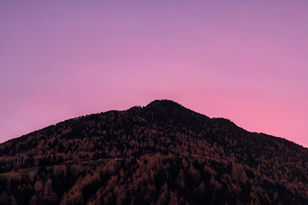 mountain under pink sky