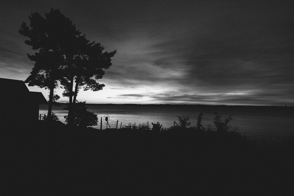 grayscale photo of ocean and trees