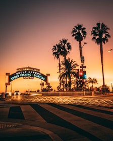 A scenic sunset view at the entrance of Santa Monica Yacht Harbor. Palm trees are silhouetted against the vibrant sky, vibrant signage is illuminated with text for sport fishing and boating, and light trails from passing cars add dynamic motion.