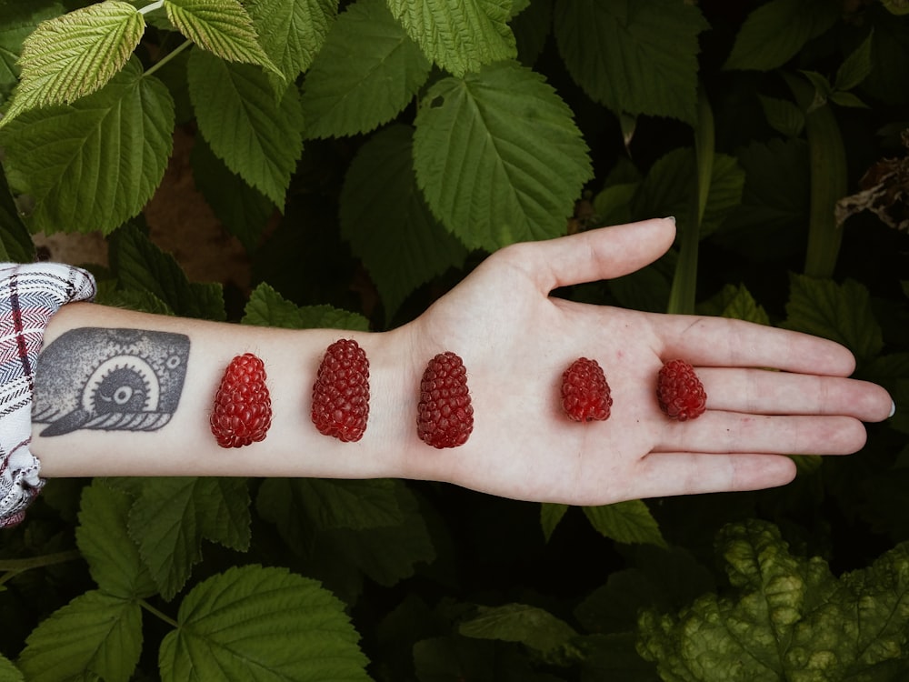 fruits rouges sur la main de la personne