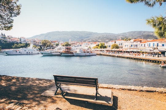 brown wooden bench near body of water during daytime in Skiathos Greece