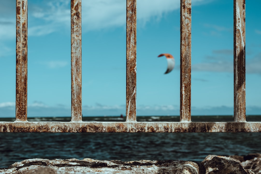 Shore photo spot Altona beach Phillip Island Nature Park