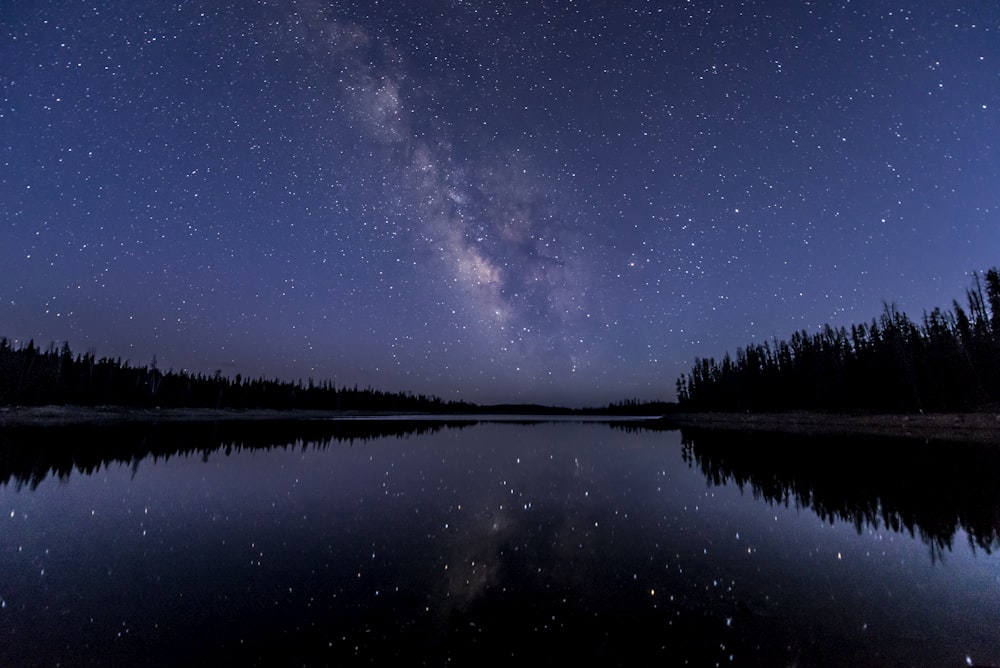 silhouette di alberi vicino allo specchio d'acqua sotto il cielo con le stelle