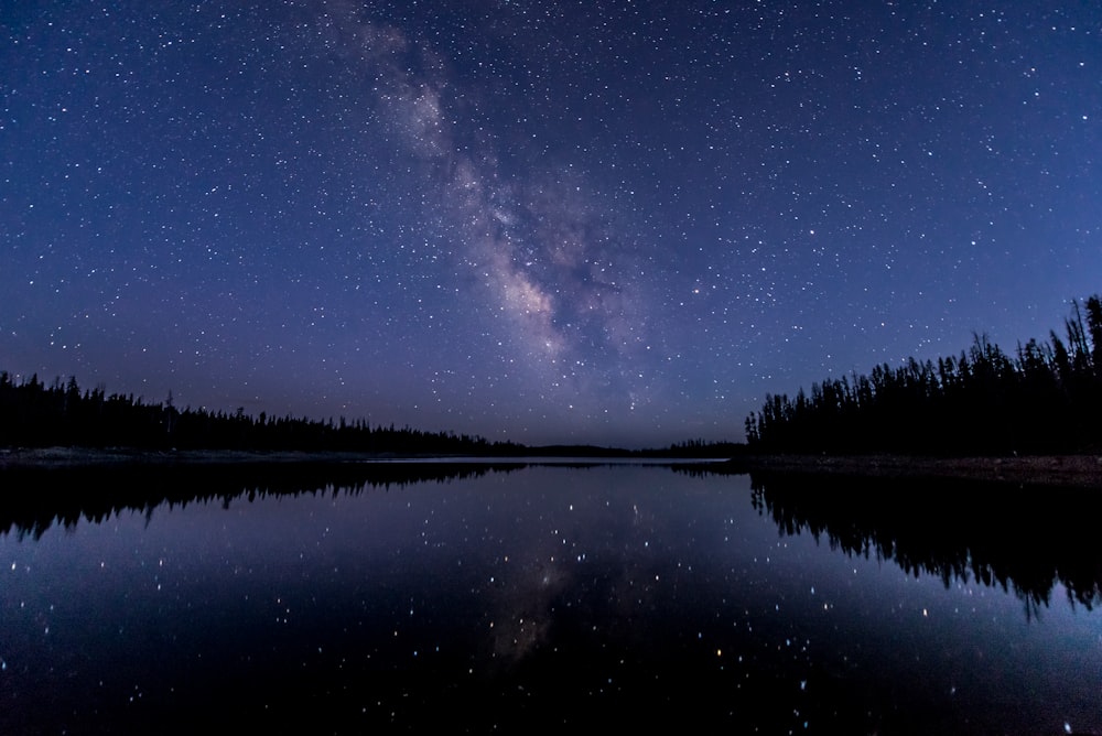 silhouette of trees near body of water under sky with stars