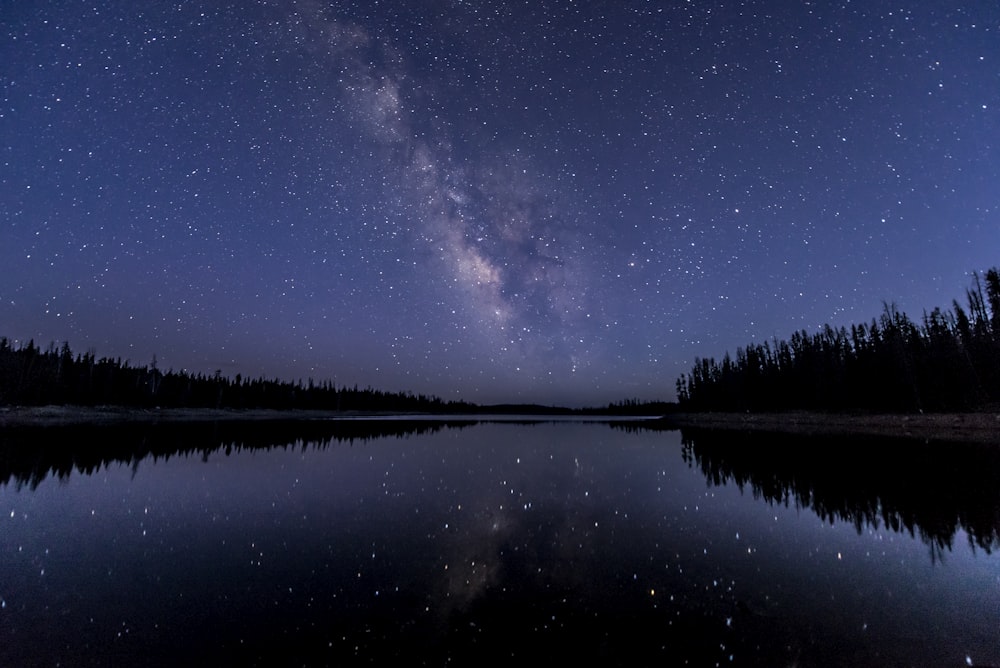 silhouette of trees near body of water under sky with stars