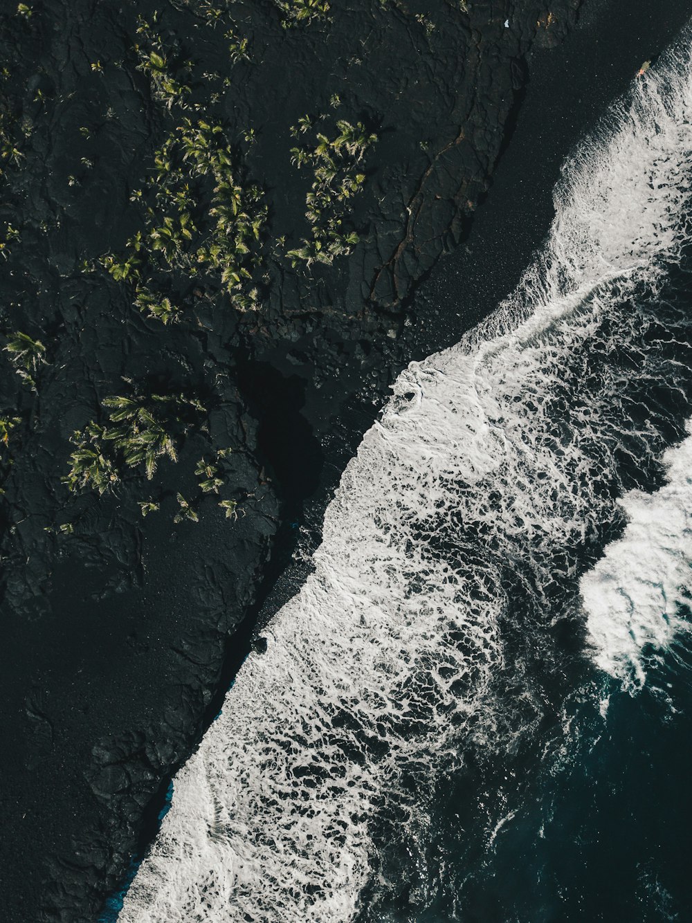 bird eye view photography of beachline