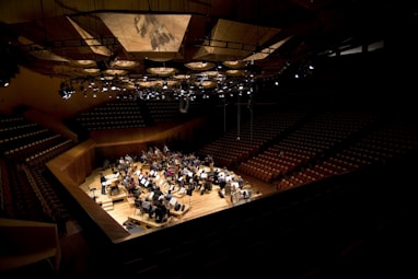 people on theater hall