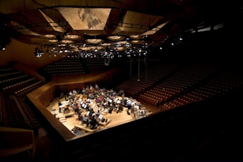 people on theater hall