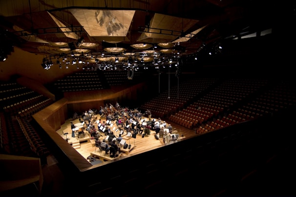people on theater hall