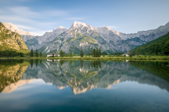 photography of trees and body of water under white sky during daytime in Almsee Austria