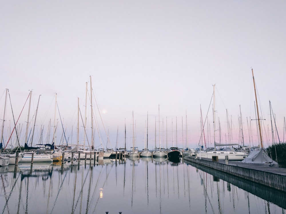 white boat lot on body of water