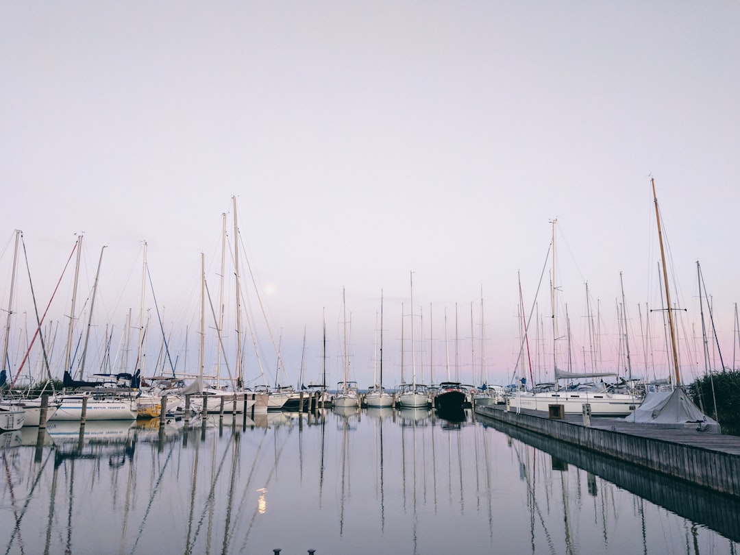 white boat lot on body of water,