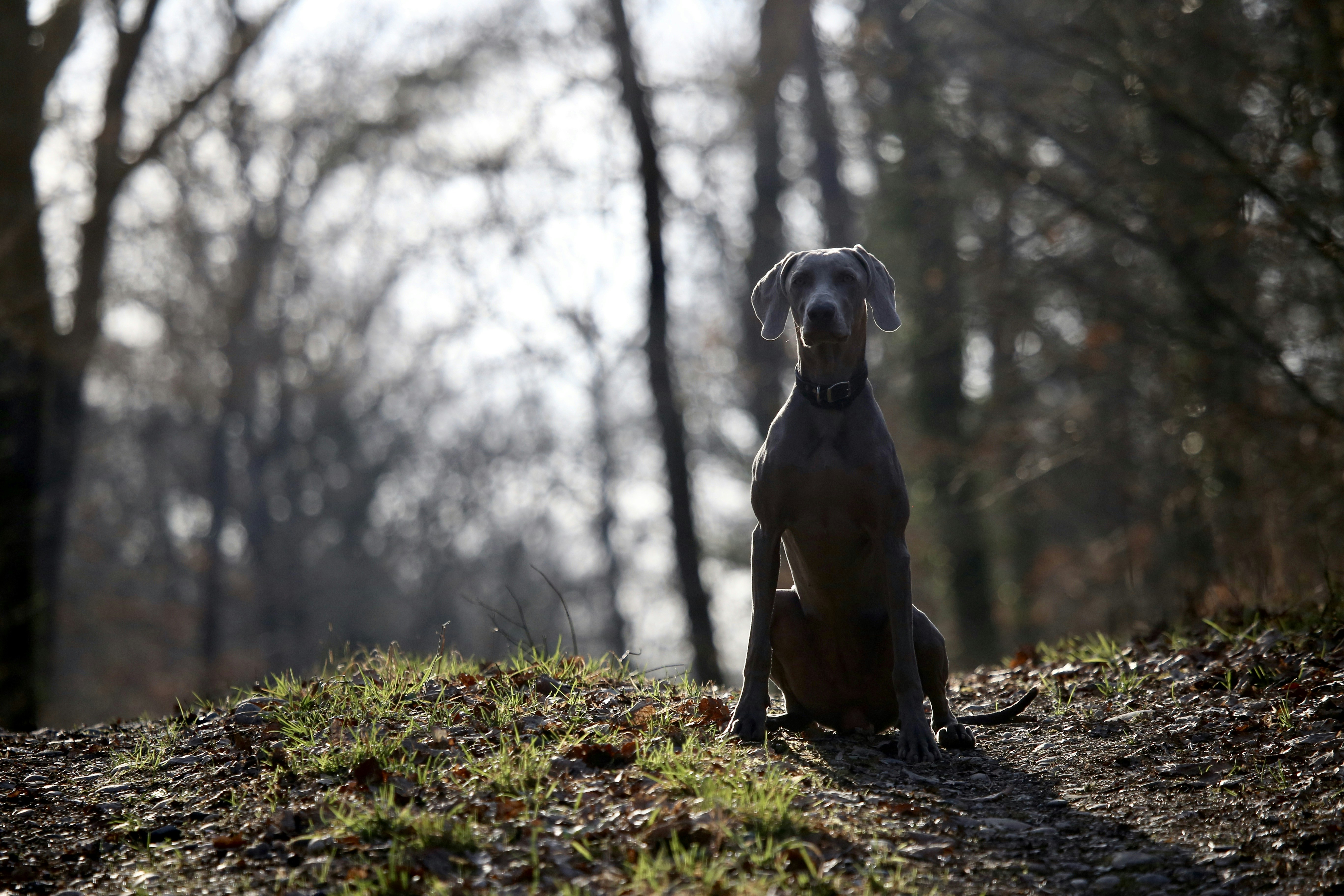 KT위즈파크 주차장 예약 없이 주차 가능한 공영주차장