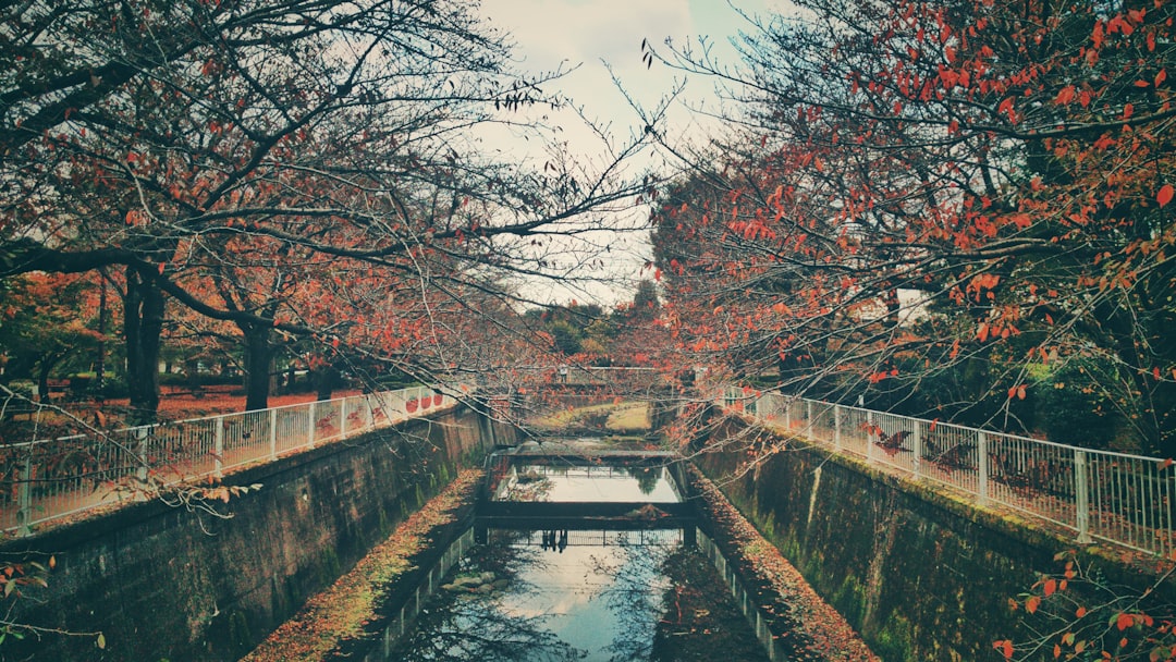 Waterway photo spot Sengawa Park Tokyo Disneyland