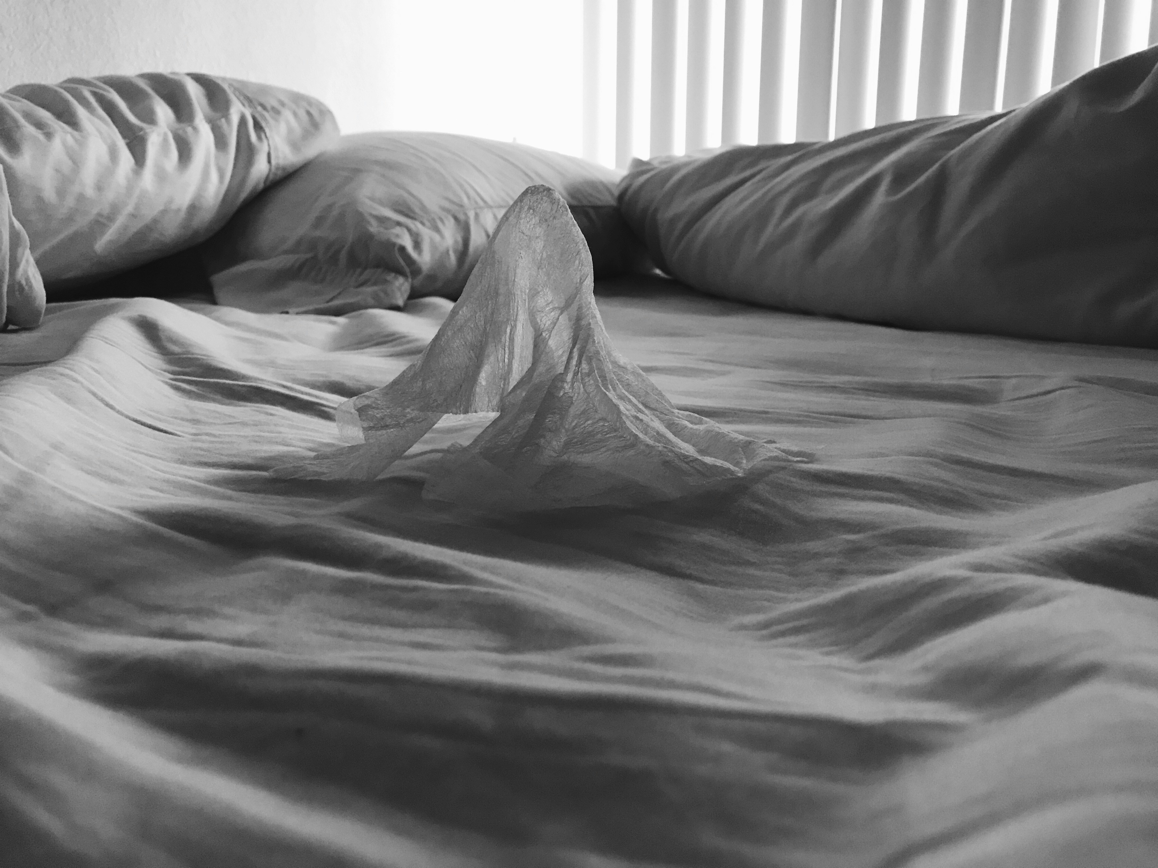 Hd Photo By Ellen Nagamine