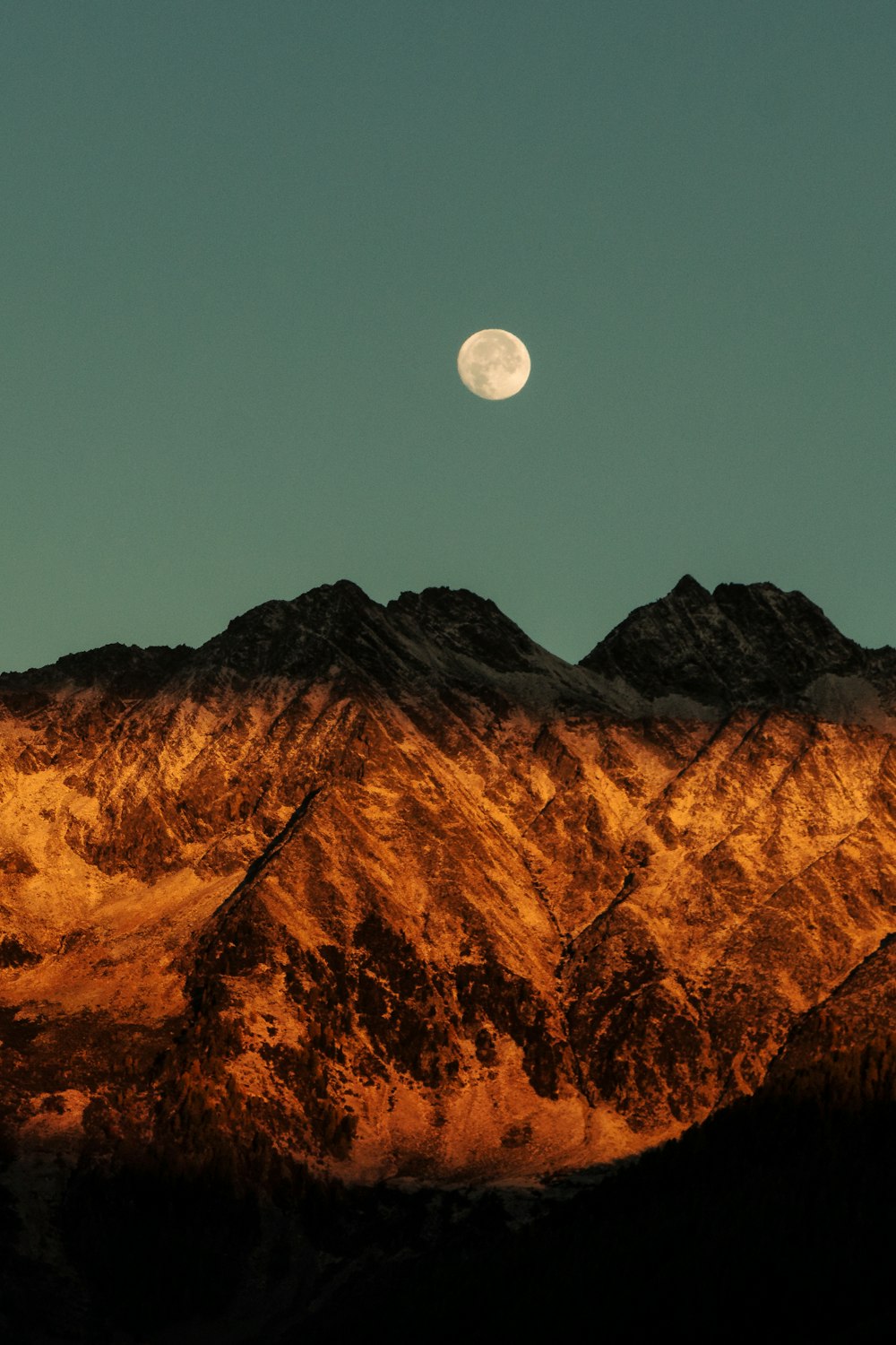 Fotografía de la Cordillera Brown