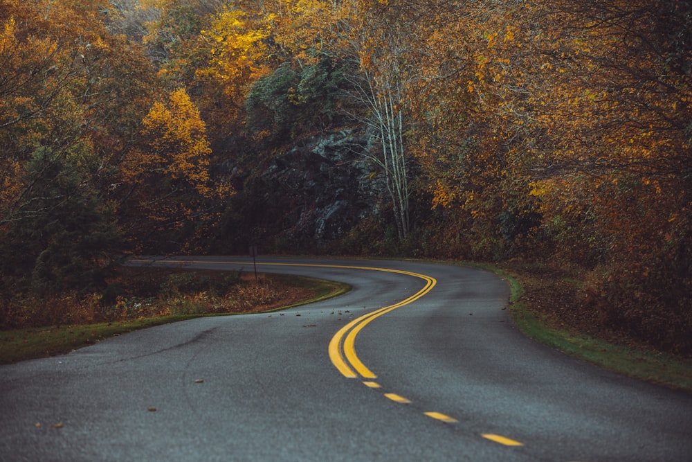 Route bétonnée en zig-zag au milieu des bois