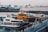 A waterfront scene featuring multiple boats docked at a pier. The most prominent boat is a yellow pilot boat, with the word 'PILOT' written on it. Surrounding it are other smaller boats and yachts. In the background, there are various buildings and structures including larger ships. Several people can be seen walking along the promenade.