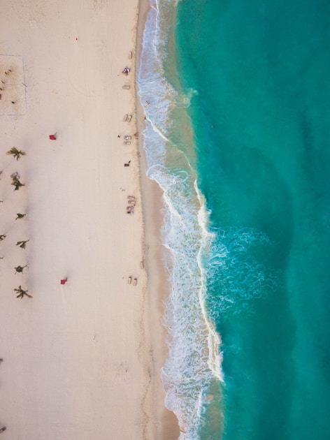 Best Time to Visit Cancún to Avoid Seaweed — Month-by-Month ...