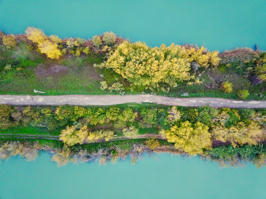 photo of Calci River near Guinigi torony