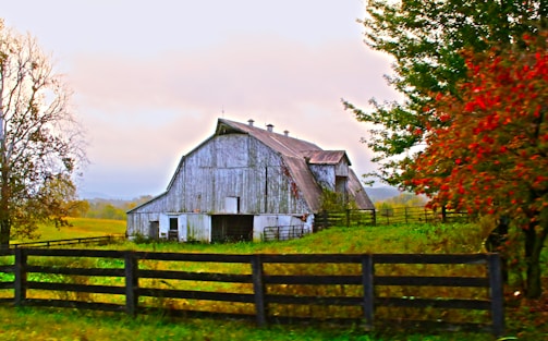 white and brown bar house surrounded by green grass field and trees at daytime
