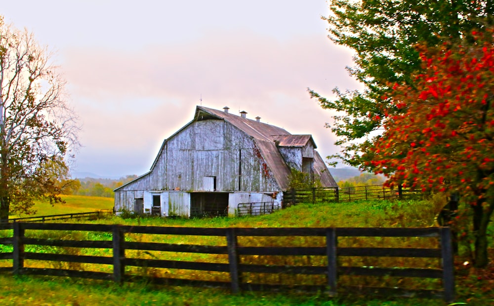 State Farm Renters Insurance Comprehensive Coverage for Peace of Mind