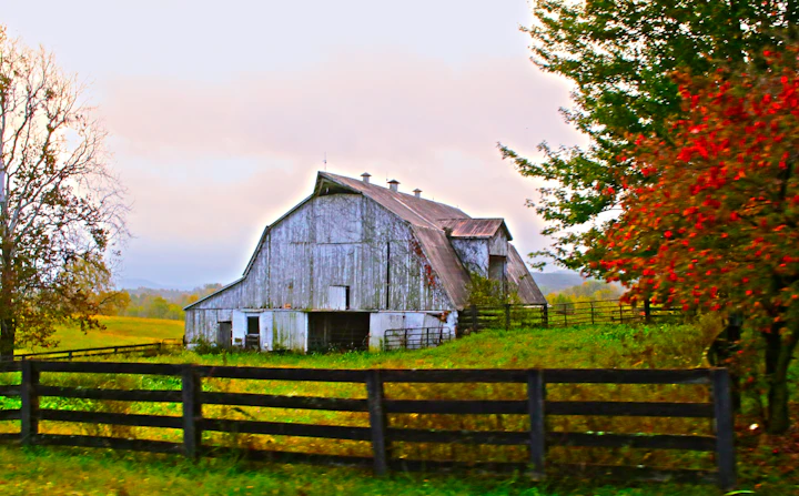 Beautiful barndominium home on a green pasture