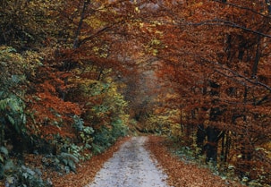 brown leaf trees