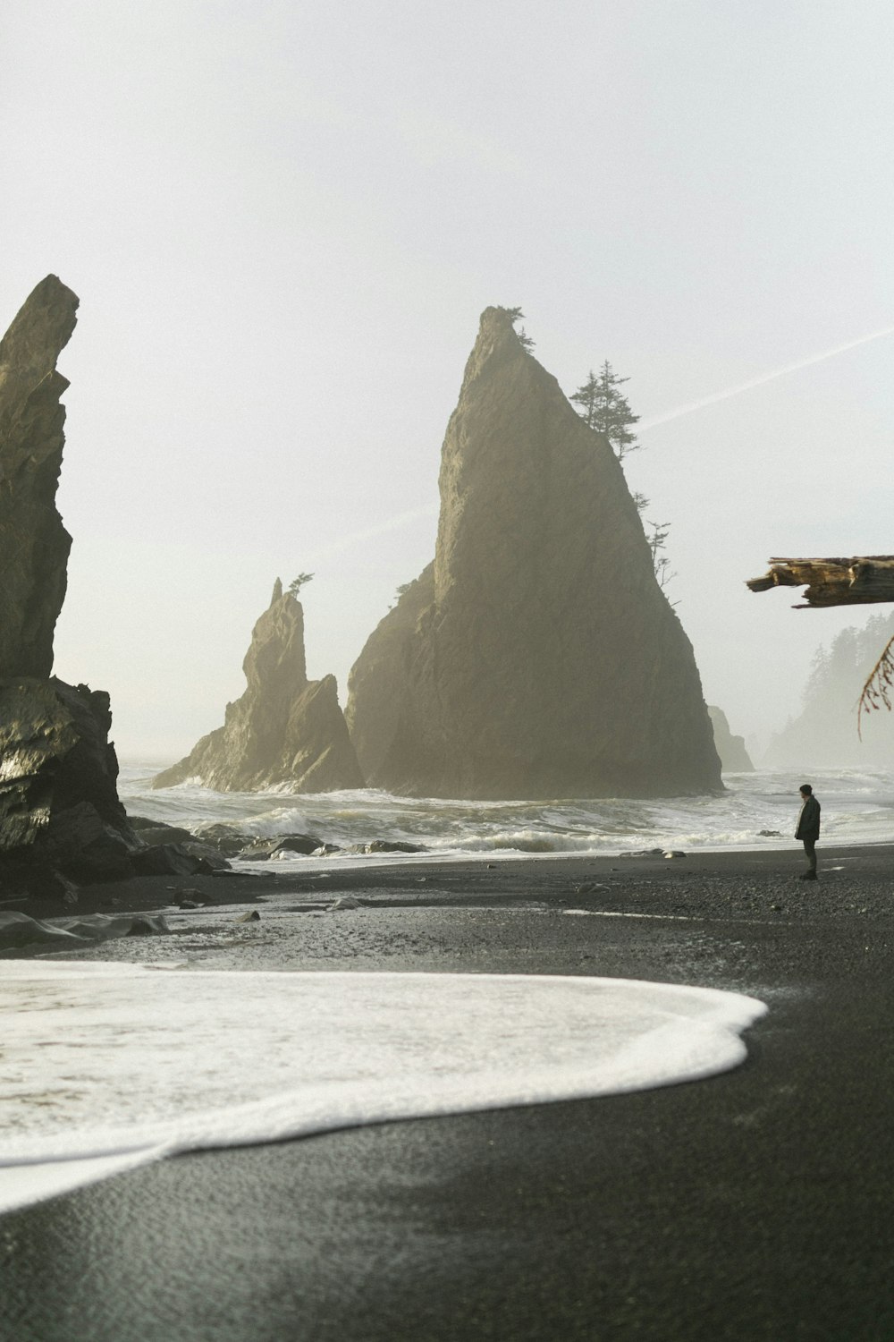 selective focus photography of person standing on seashore