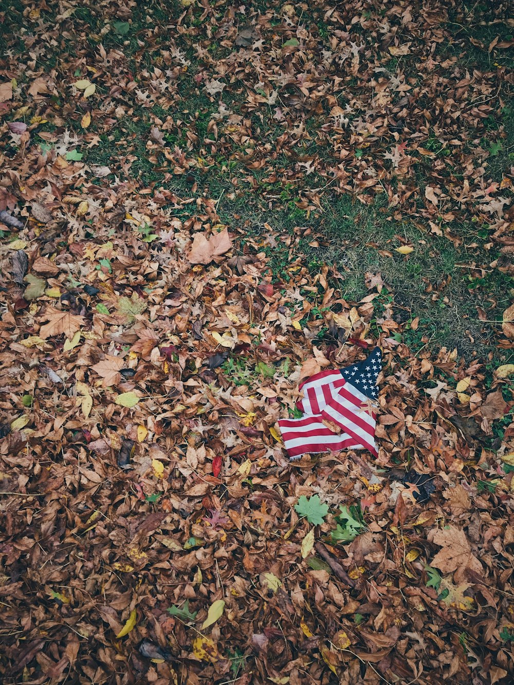 USA flag on brown leaves