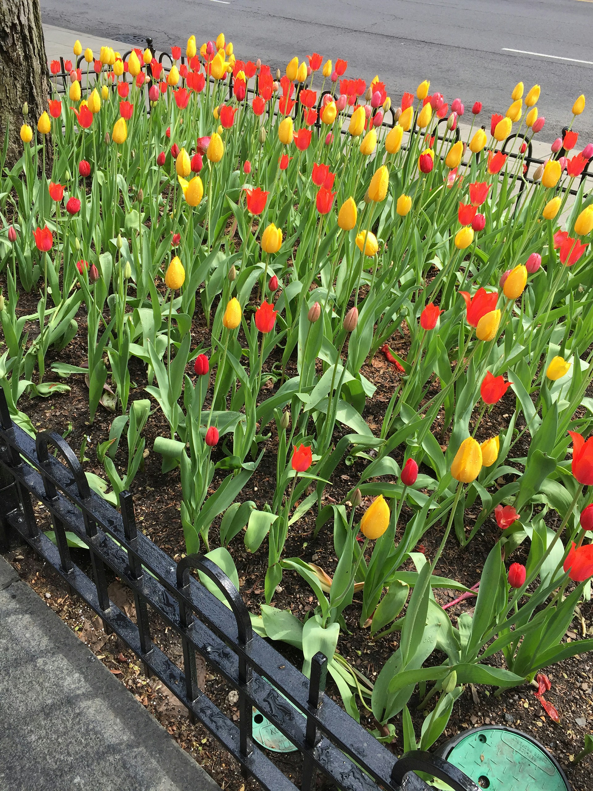 woman wearing yellow long-sleeved dress under white clouds and blue sky during daytime