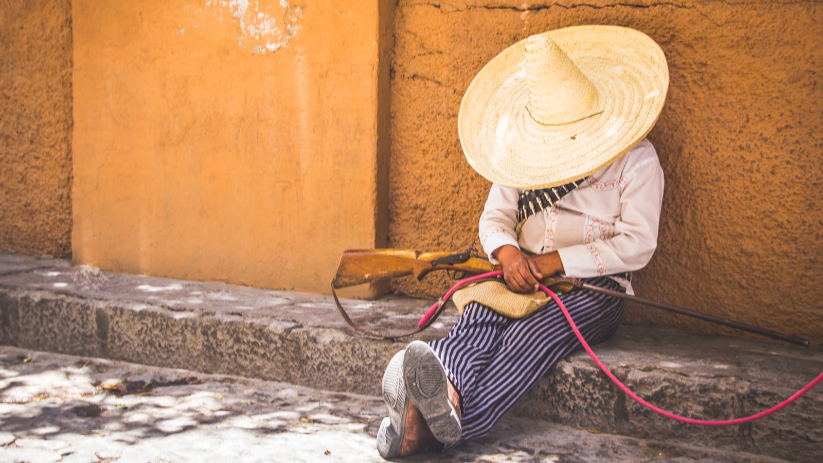 3. Exploring Mexico's Palm Tree Paradise: Must-Visit Destinations and Botanical Marvels