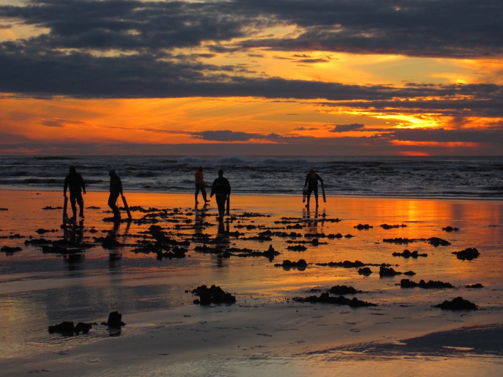 silhouette of people walking on beach during daytime