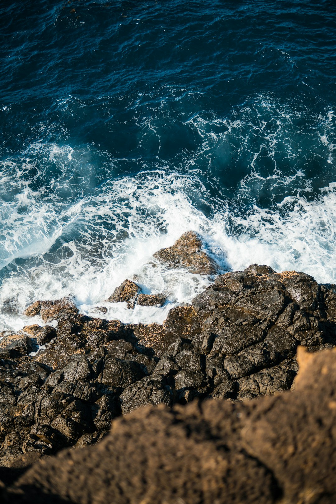 Shore photo spot Sydney Turimetta Beach