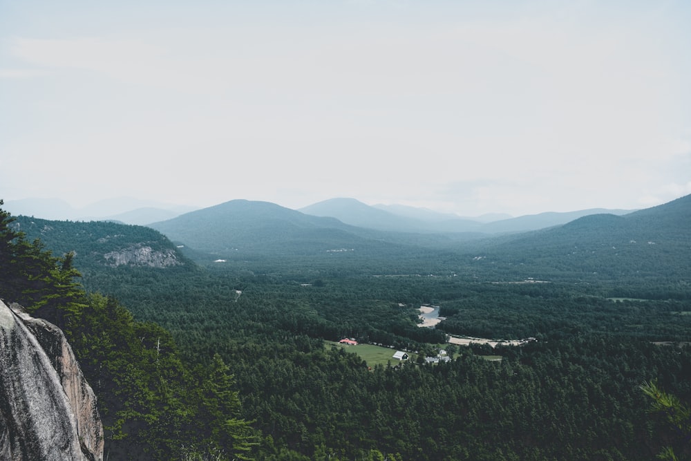 green forest and mountain high-angle photography