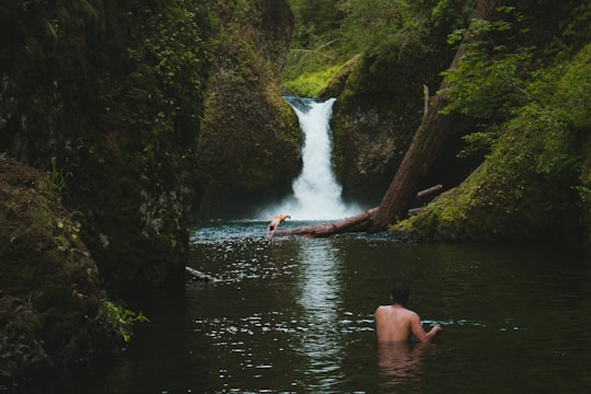 Punch Bowl Falls things to do in Falls Creek Falls