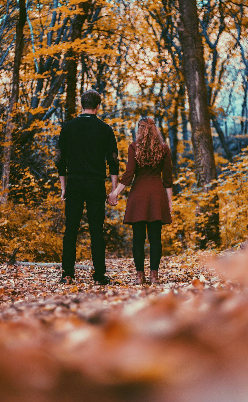 man in black long-sleeved shirt holding woman hand near trees during daytime