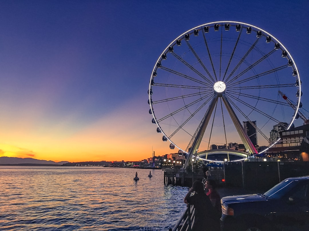 white and black Ferris wheel near body of water, Ferris Wheel